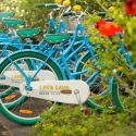 21-bikes